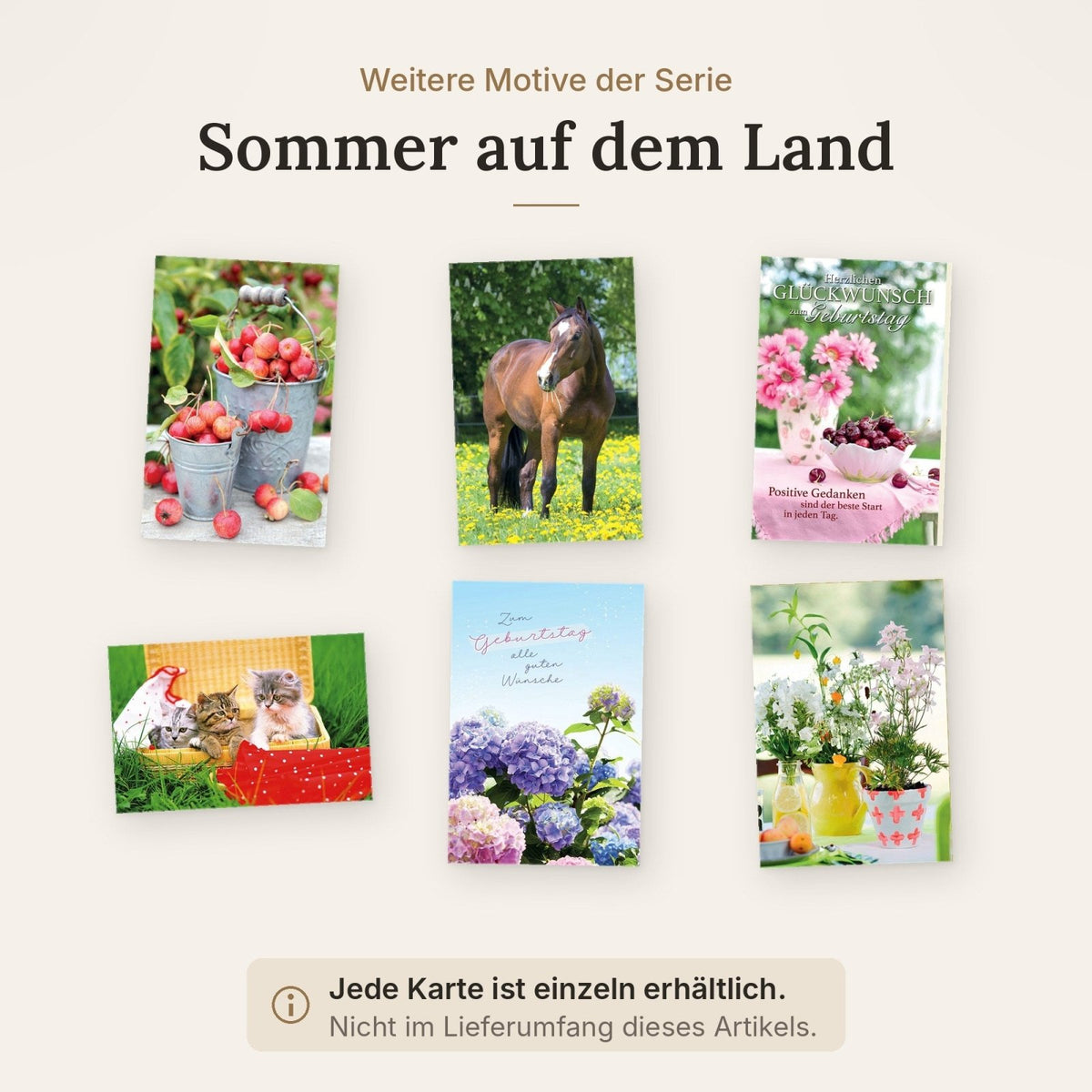 Blankokarte: Idyllischer Garten mit Katze, Apfel & Blumen – Sommerliche Naturkarte für Ruhe und Entspannung