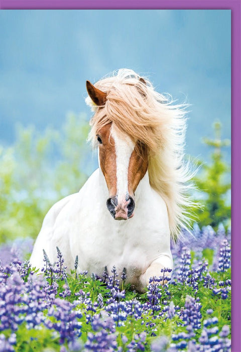 Blankokarte Islandpferd im Blumenfeld edle Doppelkarte mit Umschlag Doppelkarte für jeden Anlass Pferdemotiv Natur Grußkarte
