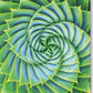 Blankokarte mit Aloe Vera Motiv, Natürliches Grün, Botanische Fotografie für Einladungen & Dankesgrüße