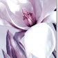 Blankokarte mit Blumenmotiv: Elegante Natur - Fotokunst Magnolie in Weiß & Lila für jeden Anlass - Geburtstage, Hochzeiten, Trauer & Dank