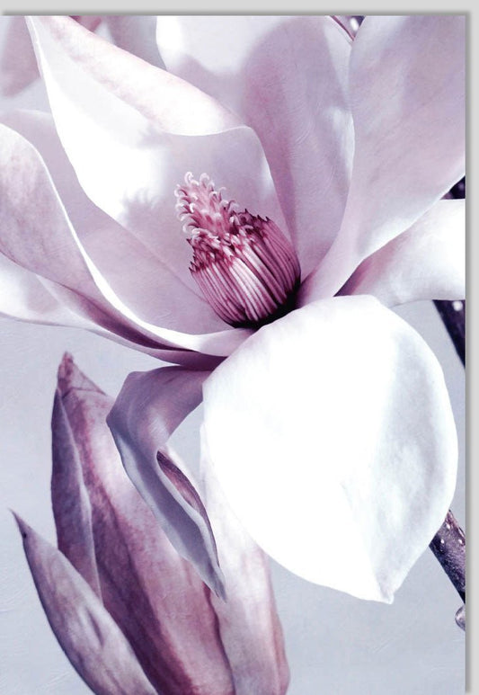 Blankokarte mit Blumenmotiv: Elegante Natur - Fotokunst Magnolie in Weiß & Lila für jeden Anlass - Geburtstage, Hochzeiten, Trauer & Dank