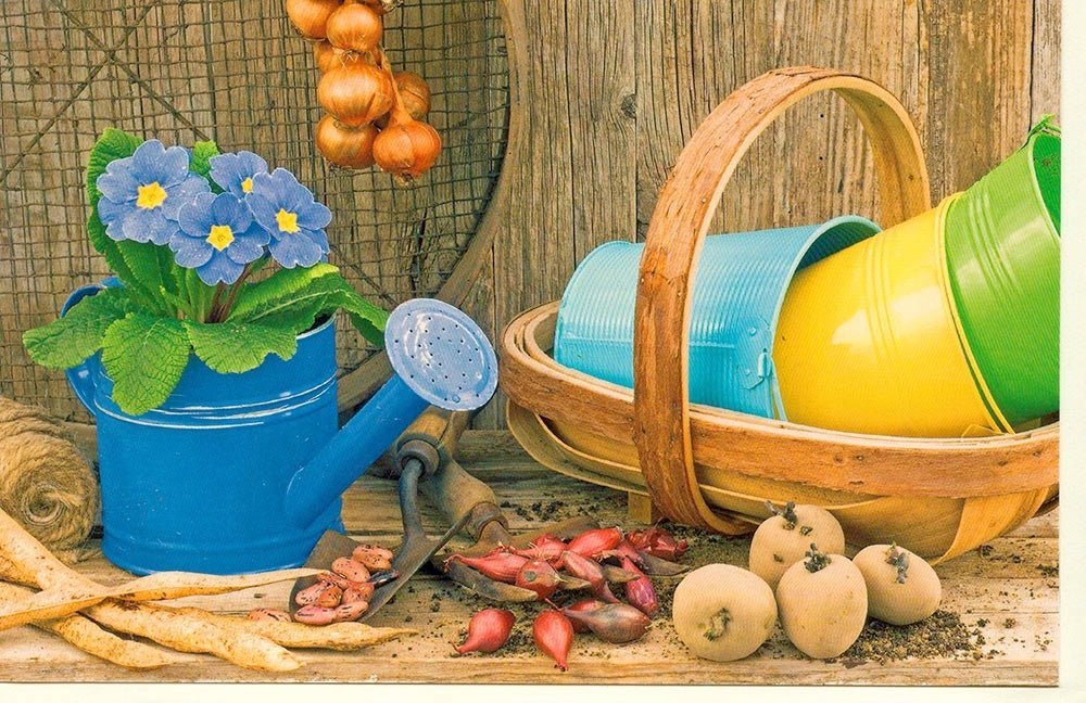 Blankokarte mit Gießkannen - und Eimermotiv für Gartenliebhaber, ideal für jeden Anlass