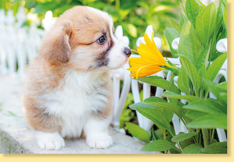 Blankokarte mit Hundewelpen & Blumenmotiv - Für Tierfreunde, Naturfotografie - Liebhaber - Charmanter Hundeblick in Gelb, Grün & Weiß