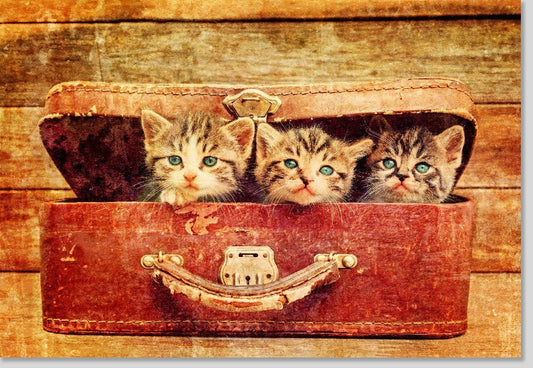 Blankokarte mit Katzen & Koffer Motiv | Vintage Reise - Look für Tierliebhaber | Nostalgische Fotografie als Deko & Geschenk