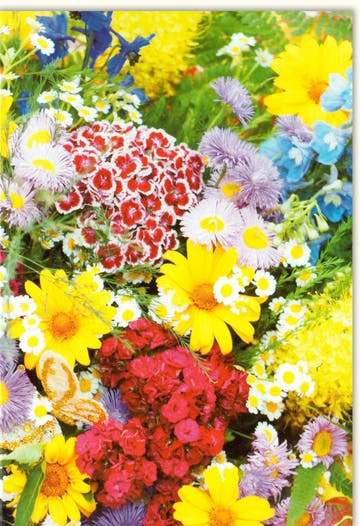 Blankokarte mit Natur - Blumenmuster in Gelb & Rot - Vielseitige Glückwunschkarte für jeden Anlass, Sommerliche Blumenwiese im Frühlingsdesign