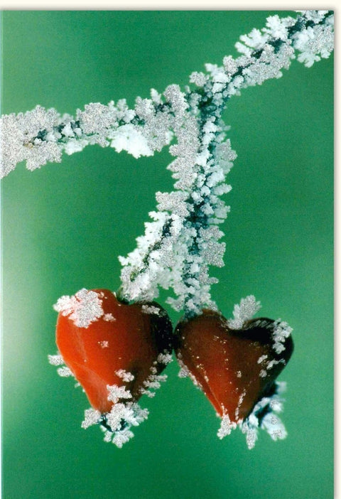 Blankokarte mit Naturmotiv – Romantische Landschaft & Herz im Frost - Design für Liebe & Glückwünsche