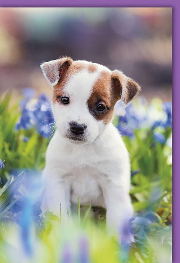 Blankokarte mit niedlichem Welpen im Blumenfeld – perfekt für Hochzeiten und besondere Anlässe