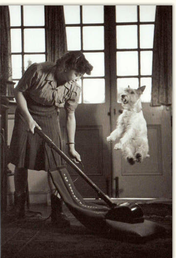 Blankokarte Retro Vintage - Elegante Frau mit Hund & Staubsauger, Klassische Freude beim Putzen, 150g/m² Schwarzweiß