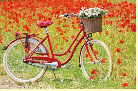 Blankokarte – Sommerliche Mohnwiese & Fahrrad, Natur - und Blumenfeld - Motiv, Landidylle für Radtouren - Liebhaber, Unisex in Rot & Grün