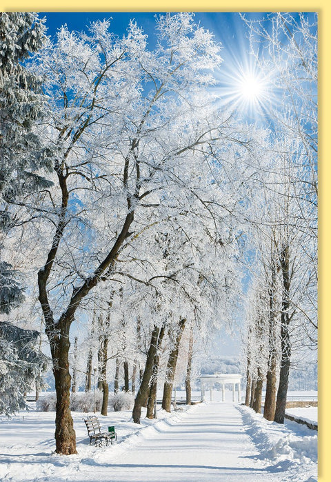 Blankokarte Winterlandschaft verschneite Bäume Sonnenstrahlen Parkbank stimmungsvolle Grußkarte für persönliche Botschaften hochwertige Doppelkarte
