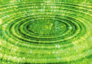 Blankopostkarte Blumen: Bamboo - Zen Design