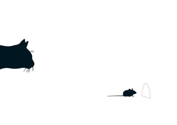 Blankopostkarte Katz & Maus von Cityproducts – Humorvolle Grüße für jeden Anlass