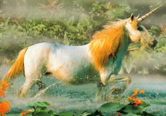 Blankopostkarte: Magisches Unicorn - Licorne - Einhorn Design