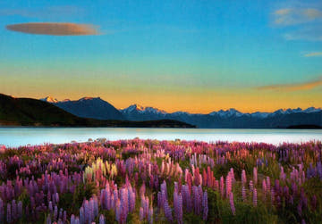 Blankopostkarte Naturidylle am Tekapo bei Morgendämmerung
