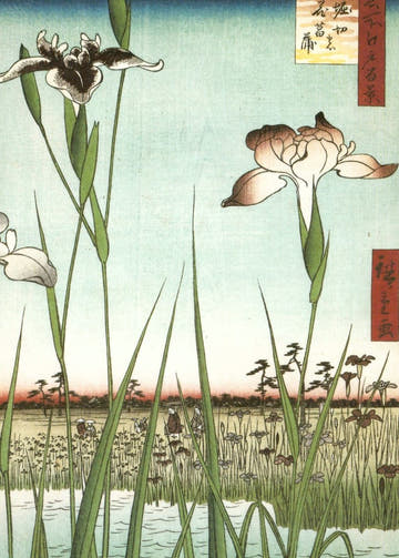 Blankopostkarte Ukiyo - e Ando Hiroshige - Japanische Kunst, Iris Garten Motiv, Vintage Holzschnitt für Sammler & Deko, Retro Asien Flair
