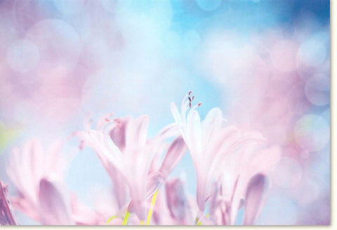 Blumengrußkarte für alle Anlässe: Zartes Crocus - Design in Pastell mit Bokeh - Hintergrund, naturinspirierte Blankokarte