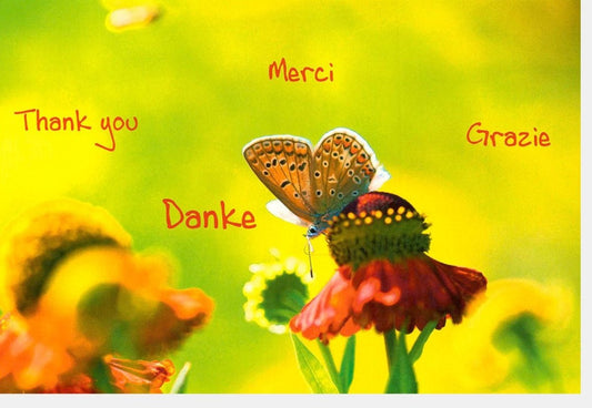Danksagungskarte "Blütenvielfalt" - Farbenfrohes Naturdesign mit Schmetterlingen, Mehrsprachiges Danke: Thank You, Merci, Grazie