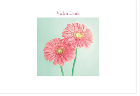Danksagungskarten - Rosa Pastell Gerbera, Schlichtes Design für Wertschätzung und Anerkennung