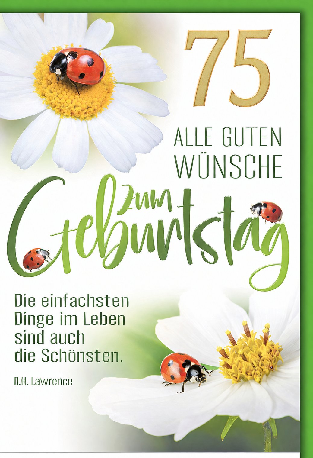 Karte zum 75. Geburtstag: Marienkäfer auf Margerite mit Zitat