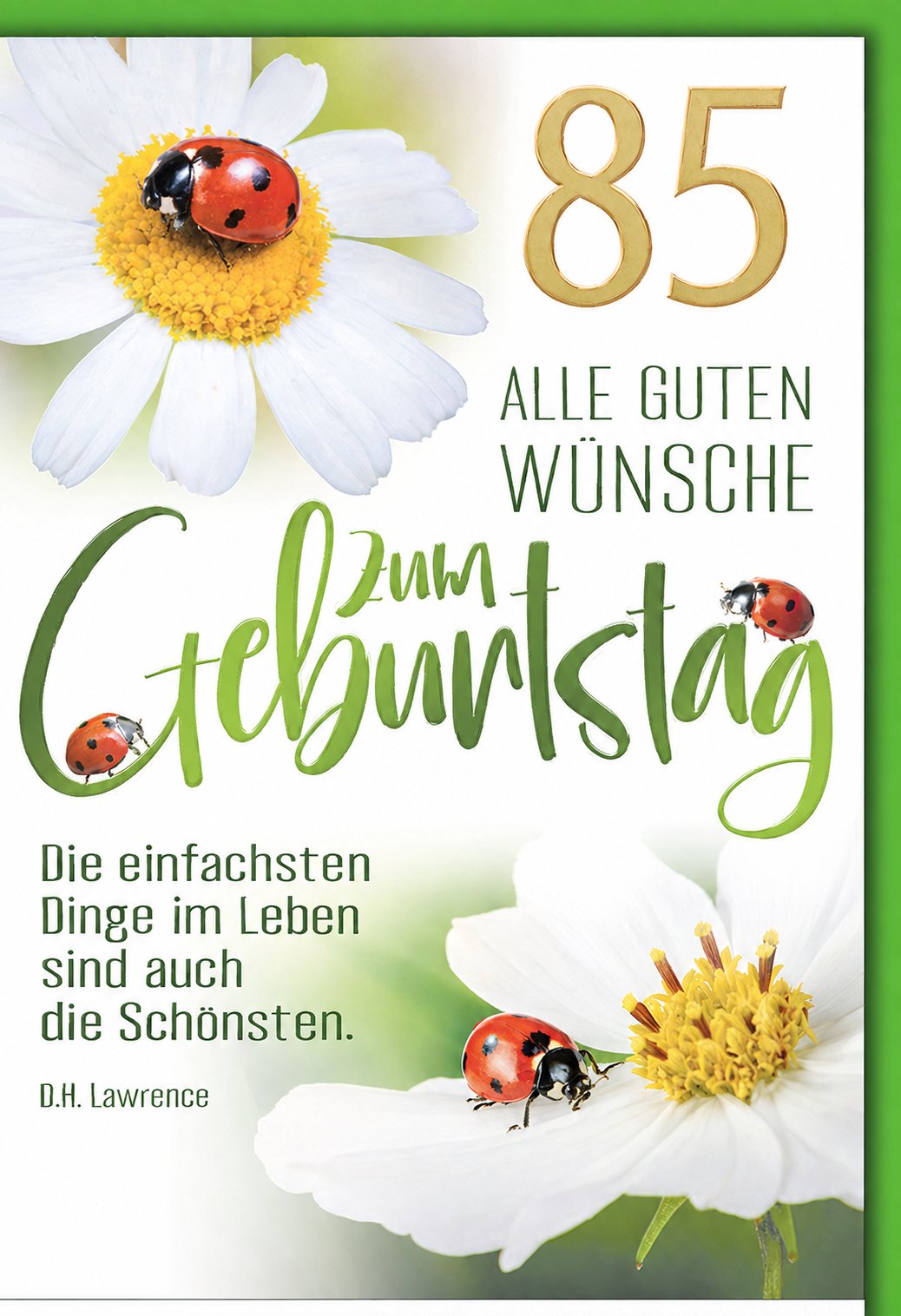 Karte zum 85. Geburtstag: Marienkäfer auf Margerite mit Zitat