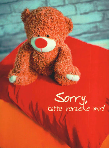 Entschuldigungskarte Freundschaft süßer Teddybär auf rotem Kissen Sorry bitte verzeih mir Postkarte Entschuldigung Freunde Versöhnung