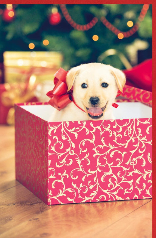 Festliche Weihnachtskarte: Süßer Welpe mit roter Schleife & Baum, Geschenkbox für Freude & Glück - Traditionelle Tiermotive