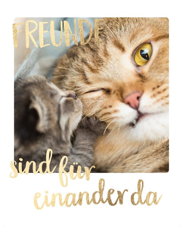 Freundschaftsgrußkarte mit Katzenmotiv: Kuschelnde Fellnasen für Tierliebhaber, Zuneigung und Liebe ausdrücken
