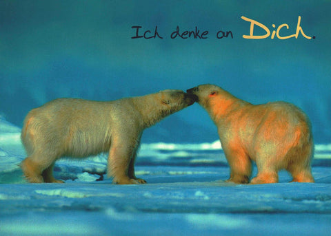 Freundschaftskarte Eisbären Motiv Ich denke an Dich liebevolle Postkarte Freundschaft Tiere Natur Grußkarte für Freunde