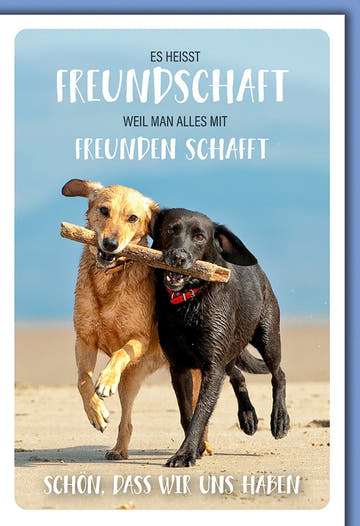 Freundschaftskarte Hunde – Zwei spielende Hunde am Strand mit inspirierendem Spruch