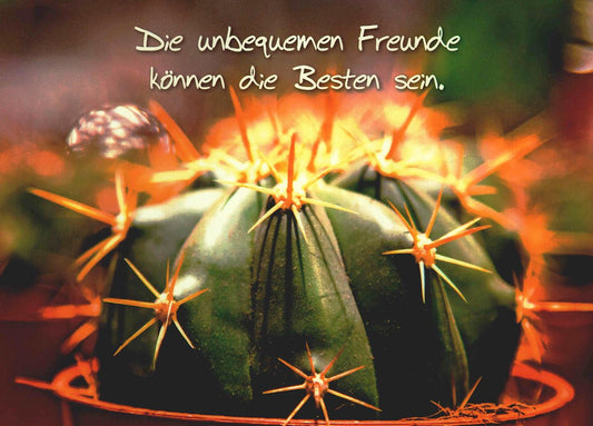 Freundschaftskarte mit Kaktus - Motiv und Spruch Die unbequemen Freunde können die Besten sein originelle Postkarte für echte Freundschaft