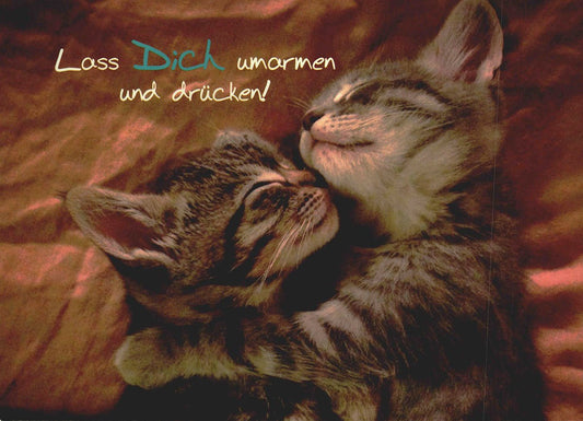 Freundschaftskarte mit Katzenmotiv Lass Dich umarmen und drücken süße Postkarte für Freunde zum Verschicken und Freude schenken