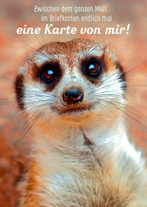 Freundschaftskarte mit Spruch: Ein Lichtblick im Briefkasten zwischen all dem Müll, der den Tag erhellt.