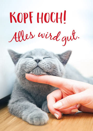 Freundschaftskarte mit Spruch: Kopf hoch, alles wird gut - Tierpostkarte für besondere Momente