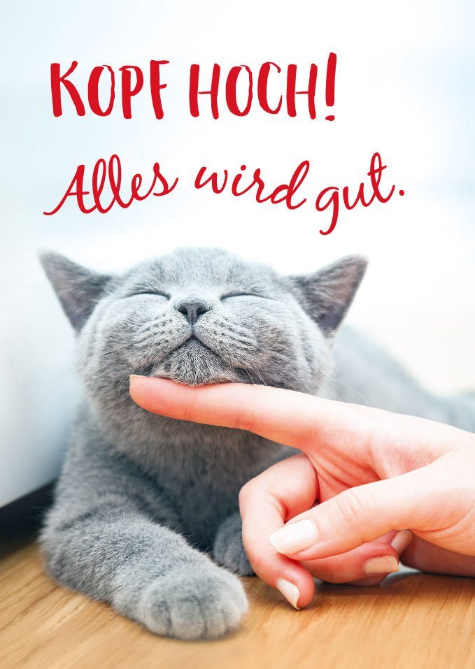 Freundschaftskarte mit Spruch: Kopf hoch, alles wird gut - Tierpostkarte für besondere Momente
