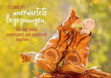 Freundschaftskarte mit Spruch: Unerwartete Begegnungen, die das Leben bereichern - Postkarten für besondere Momente