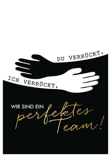 Freundschaftskarte perfektes Team lustige Postkarte für Freunde schwarz weiß mit Spruch wir sind ein perfektes Team originelle Grußkarte