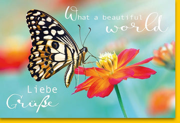 Geburtstagskarte - Bunte Schmetterlings - und Blumenmotive, Herzliche Grüße & Wünsche, Naturfotografie, Fröhliche Botschaft, Geschenkkarte "Beautiful World"