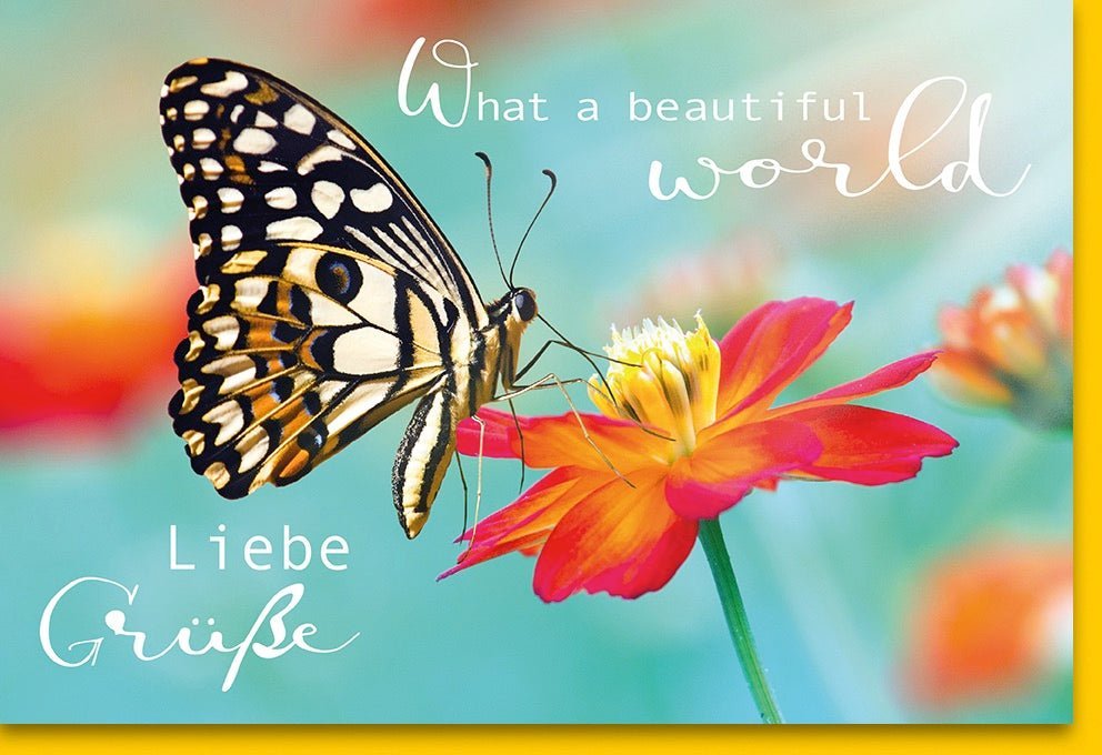Geburtstagskarte - Bunte Schmetterlings - und Blumenmotive, Herzliche Grüße & Wünsche, Naturfotografie, Fröhliche Botschaft, Geschenkkarte "Beautiful World"