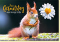 Geburtstagskarte Eichhörnchen mit Blume Herzblüte viele blumige Grüße fröhliche Glückwunschkarte zum Geburtstag