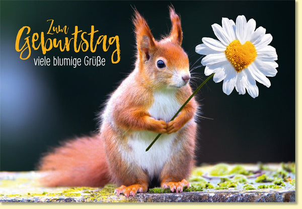 Geburtstagskarte Eichhörnchen mit Blume Herzblüte viele blumige Grüße fröhliche Glückwunschkarte zum Geburtstag