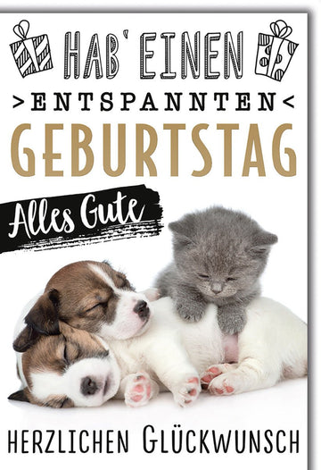 Geburtstagskarte Entspannt – Schlafende Welpen und Kätzchen mit Humorvollem Text