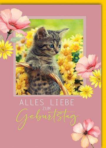 Geburtstagskarte Frauen – Kätzchen im Blumenfeld mit Pastellblüten und Charme