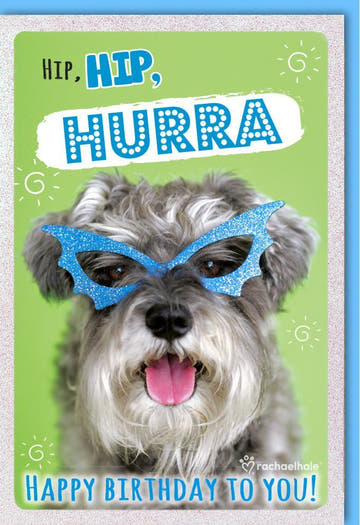 Geburtstagskarte - Fröhlicher Hund mit Glitzerbrille, Hip Hurra für einen lustigen Geburtstag!