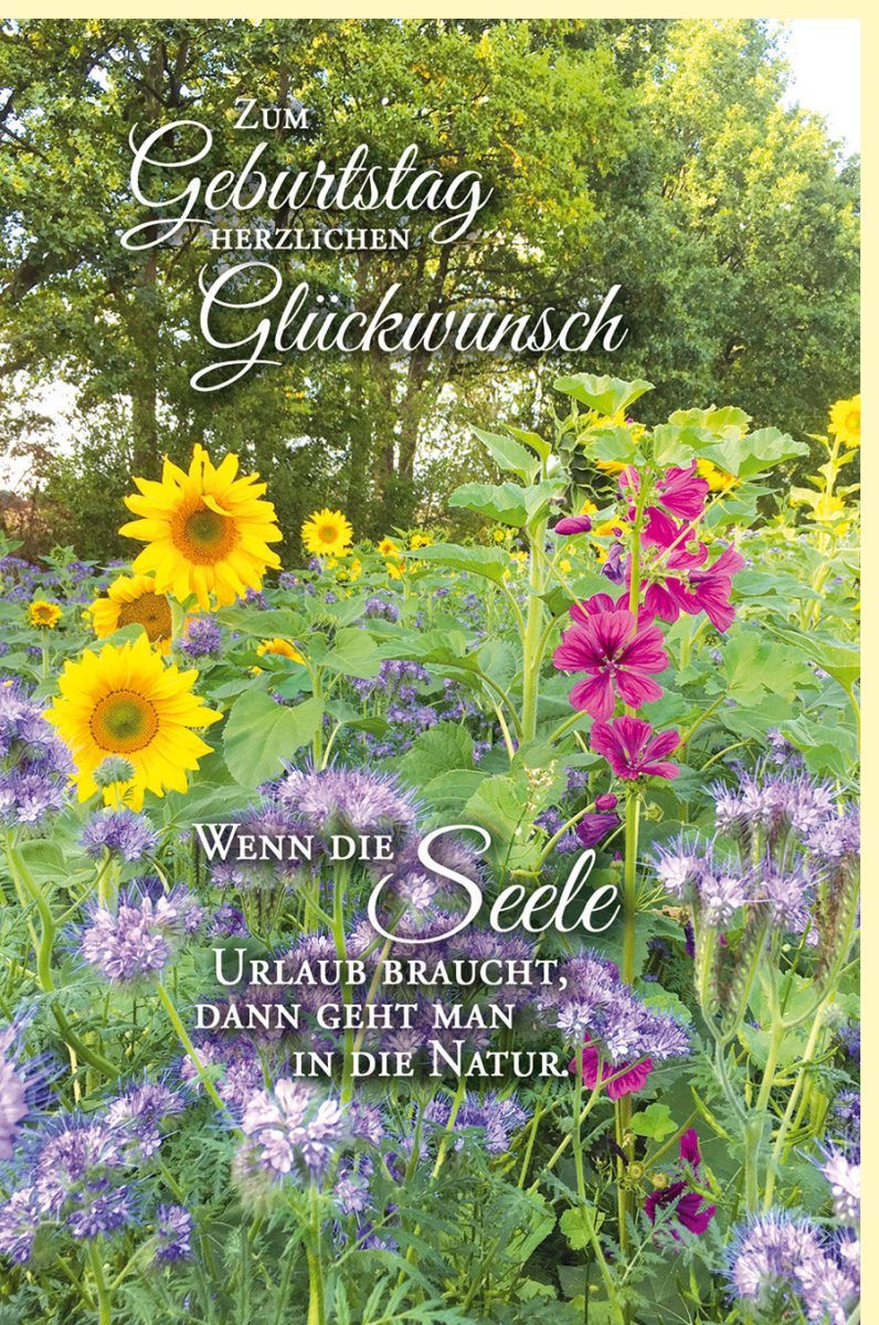 Geburtstagskarte für Erwachsene & Senioren - Sonnenblumen im Sommerfeld, Naturmotiv & Spruch für Seelenfrieden in Grün & Gelb