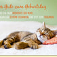 Geburtstagskarte für Frauen mit schlafender Katze und Spruch Momente der Ruhe Zeit für schöne Gedanken Träumen Doppelkarte zum Geburtstag