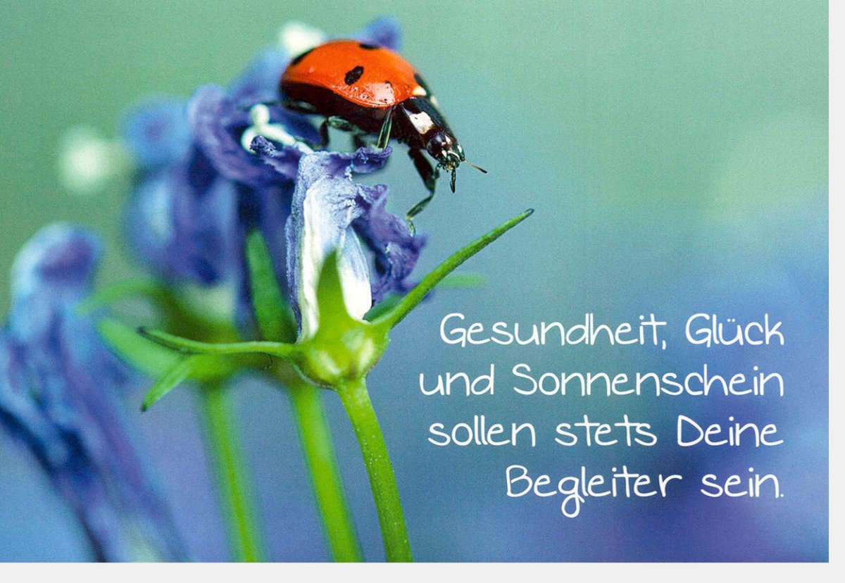 Geburtstagskarte für Gesundheit & Glück – Lebendige Karte mit Sonnenschein, Marienkäfer und Blumen – Naturdesign voller Freude