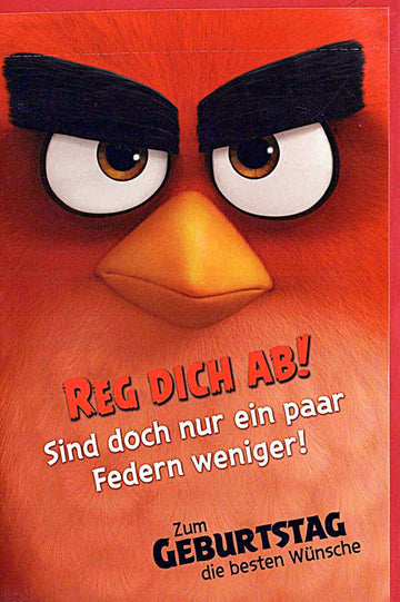 Geburtstagskarte für Kinder mit lustigem Angry Birds Motiv und Spruch Reg dich ab fröhliche Doppelkarte zum Geburtstag witzige Glückwunschkarte