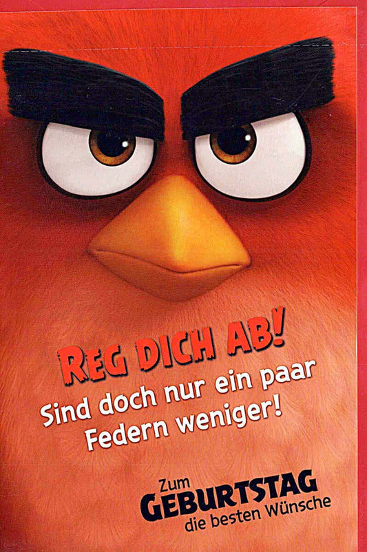 Geburtstagskarte für Kinder mit lustigem Angry Birds Motiv und Spruch Reg dich ab fröhliche Doppelkarte zum Geburtstag witzige Glückwunschkarte