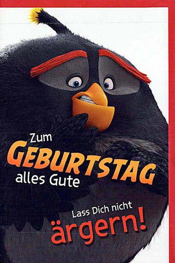 Geburtstagskarte für Kinder mit lustigem Vogelmotiv und Spruch Zum Geburtstag alles Gute Lass dich nicht ärgern fröhliche Doppelkarte