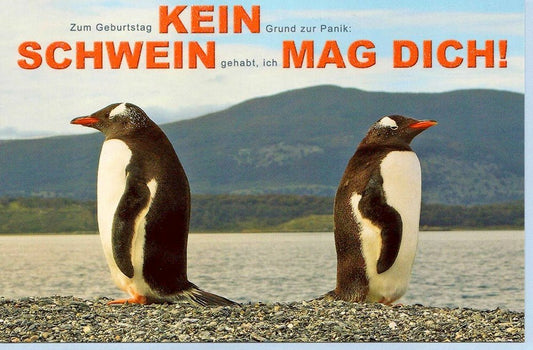 Geburtstagskarte humorvoll - Niemand mag dich wirklich!